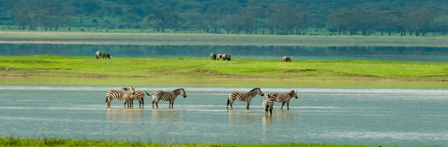 8 Days Tanzania Private Safari Exploring Best Tanzania Travel