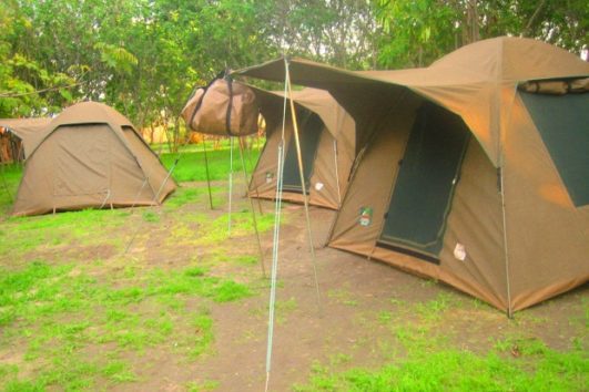 Tanzania Camping Safari