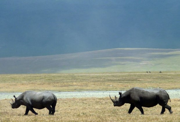 3 Days Ngorongoro Crater & Manyara