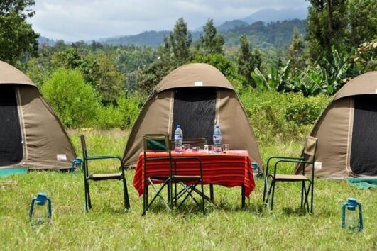 5 days Tanzania camping safari