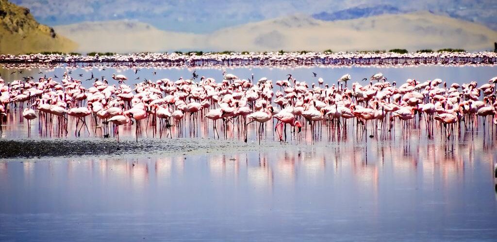 LAKE NATRON