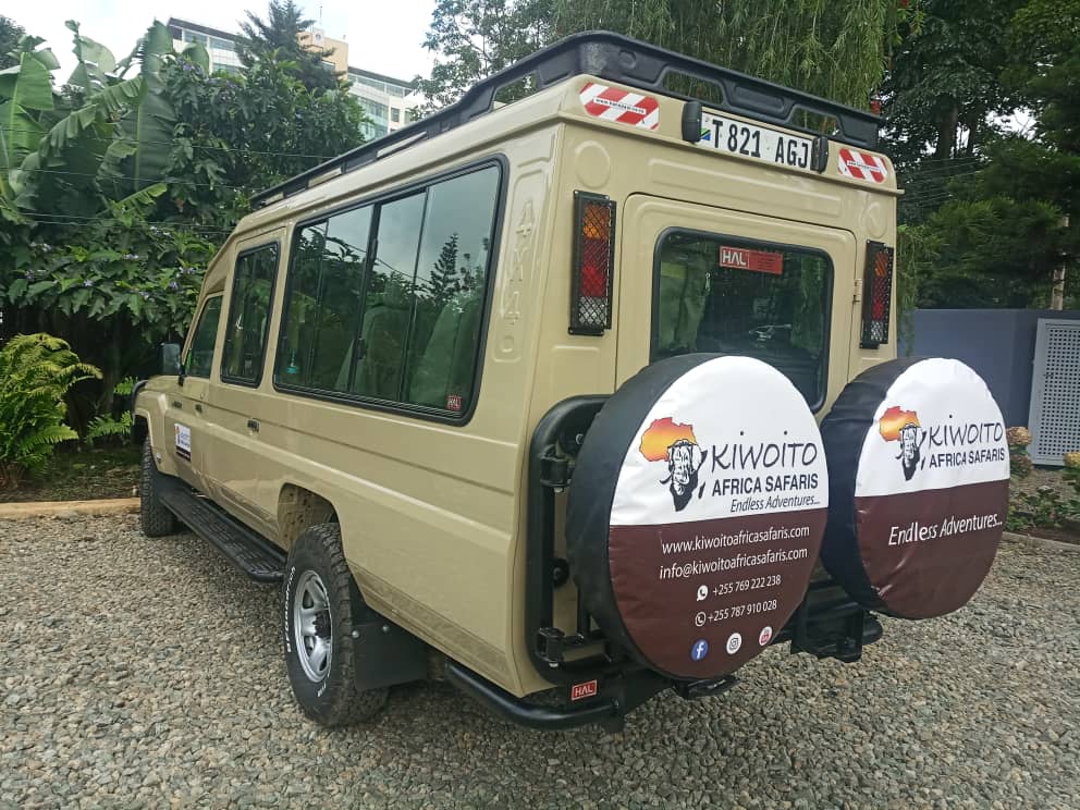 tanzania Family safaris