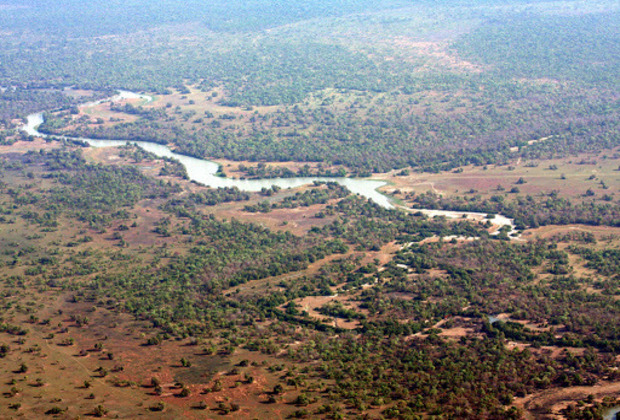 Ugalla River National Park | Best Game Reserve to visit in Tanzania