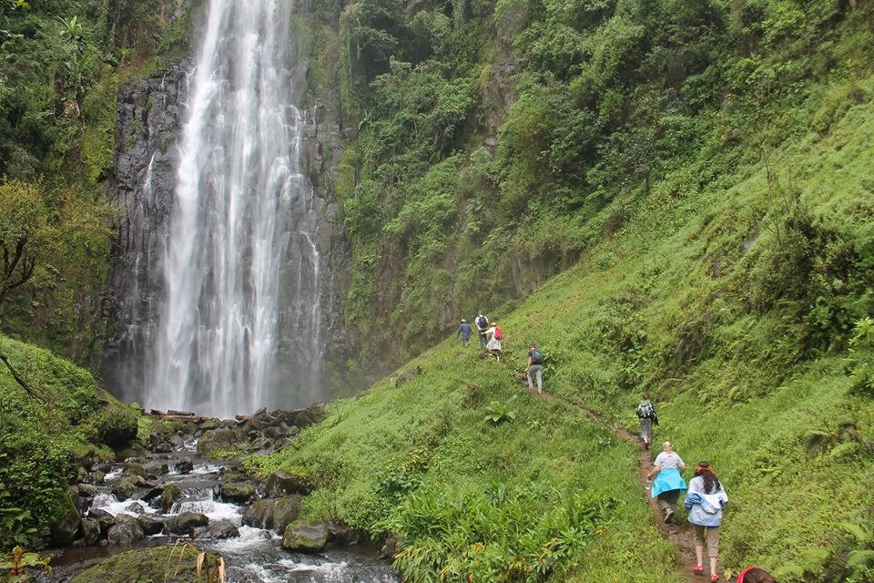 Materuni Water Falls Best Of Coffee And Waterfalls Tour In Tanzania