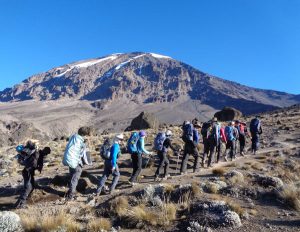 The Lemosho Route | most beautiful Kilimanjaro climb route