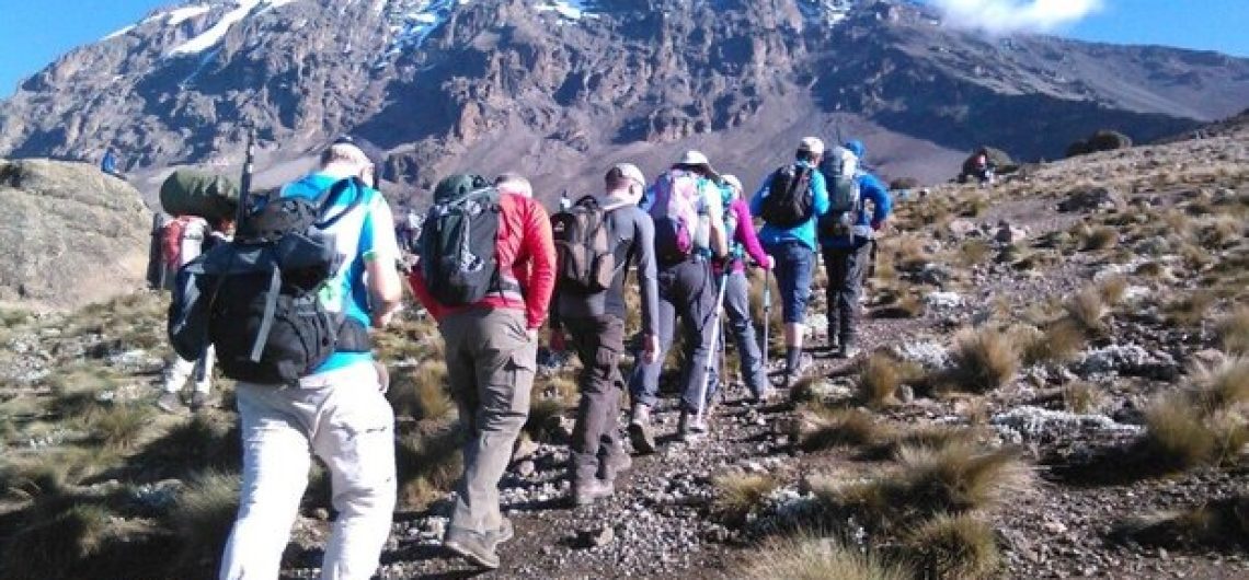 8 Kilimanjaro Trekking Lemosho Route