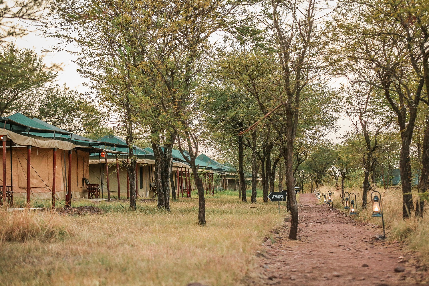 Tukaone serengeti