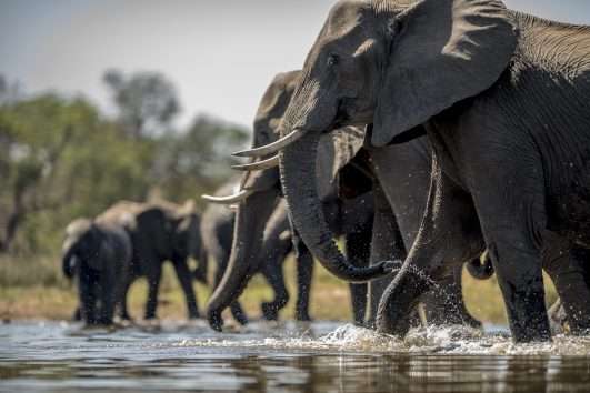 tarangire national park day trip