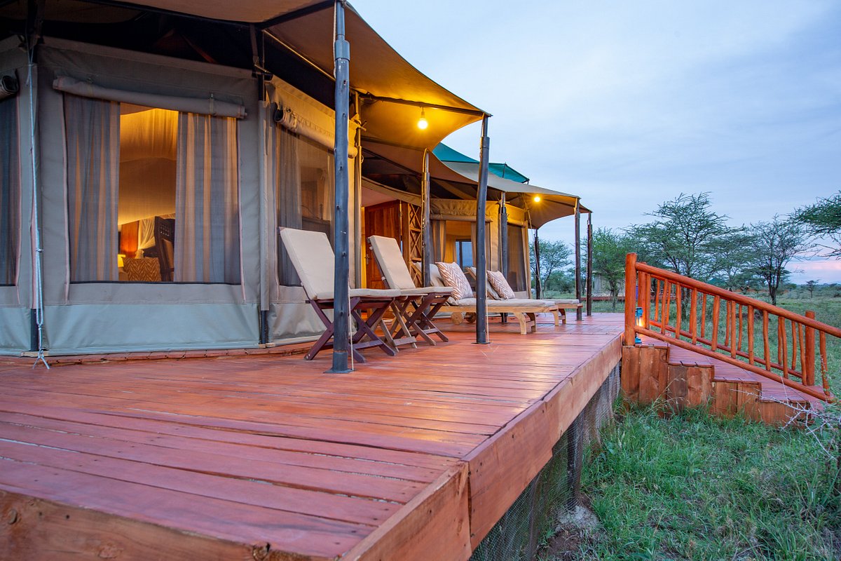 Acacia Seronera Luxury Camp