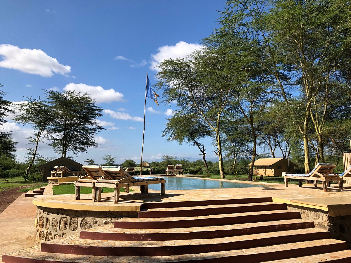 Africa Safari Lake Manyara