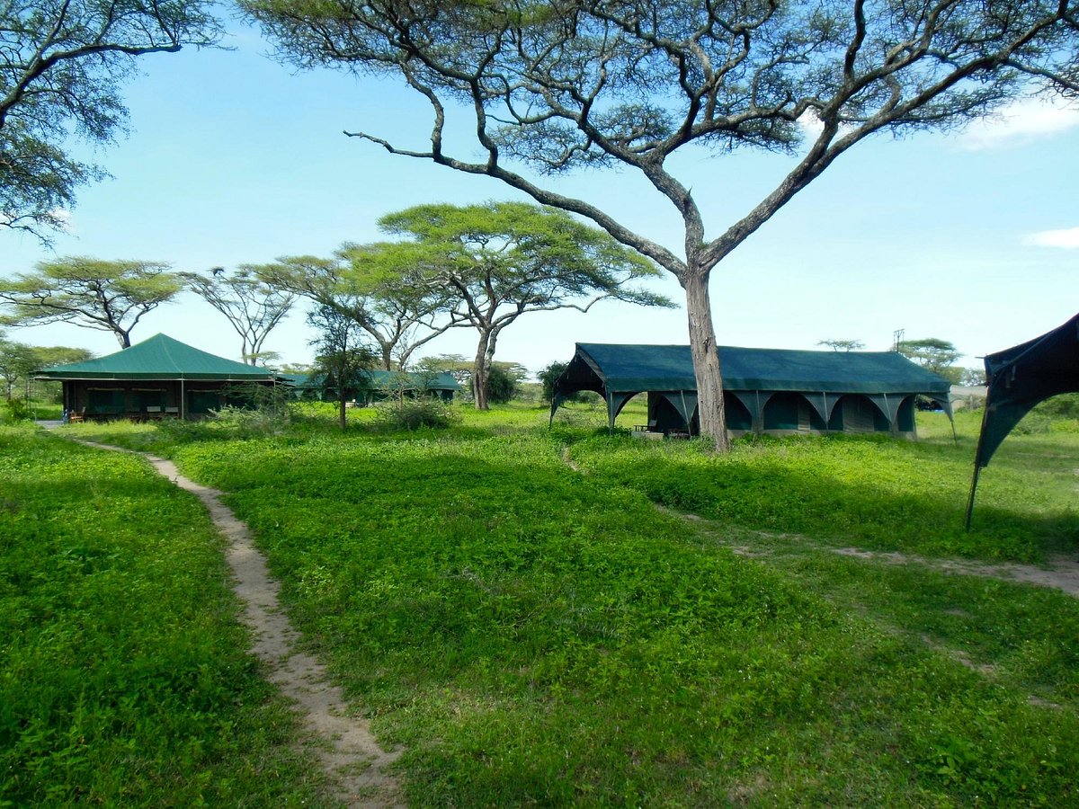 kirumumu serengeti