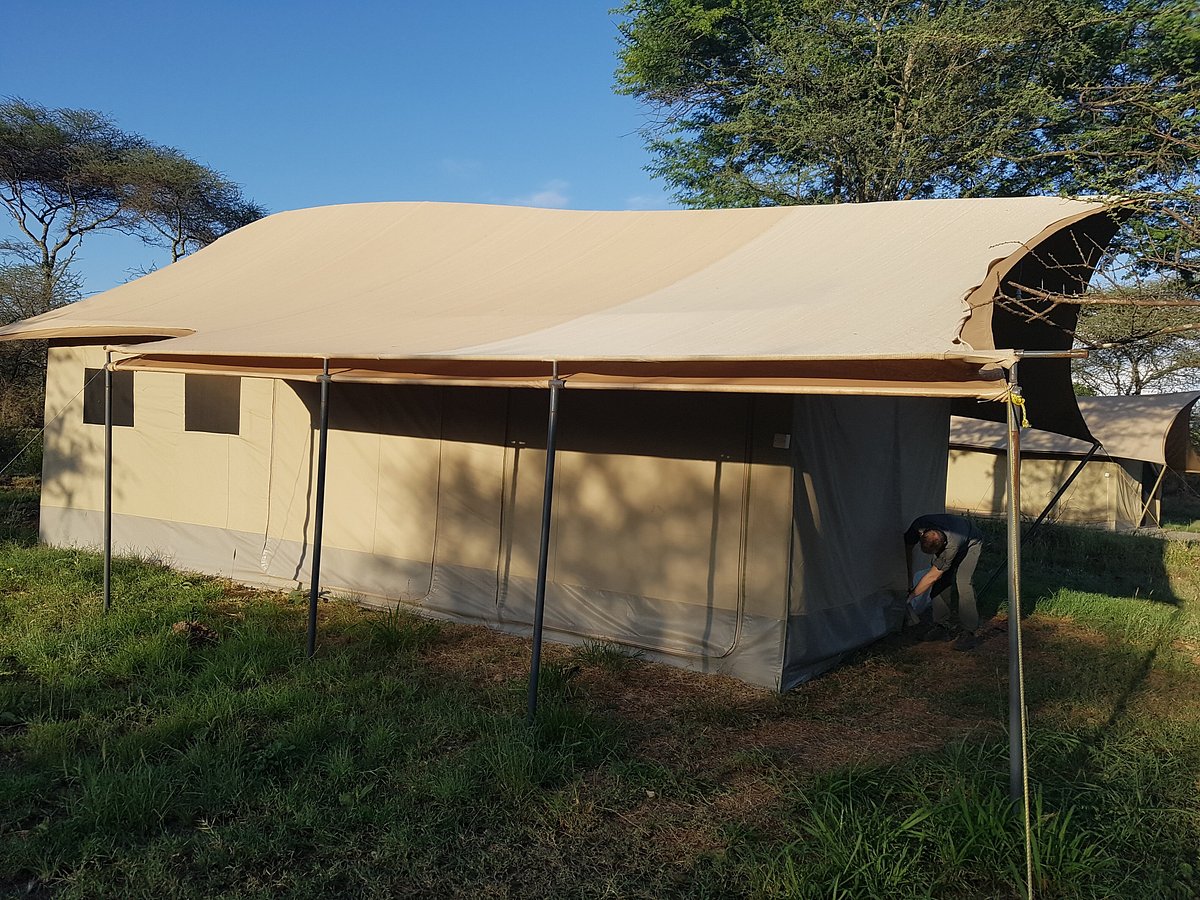 pamoja serengeti luxury Camp