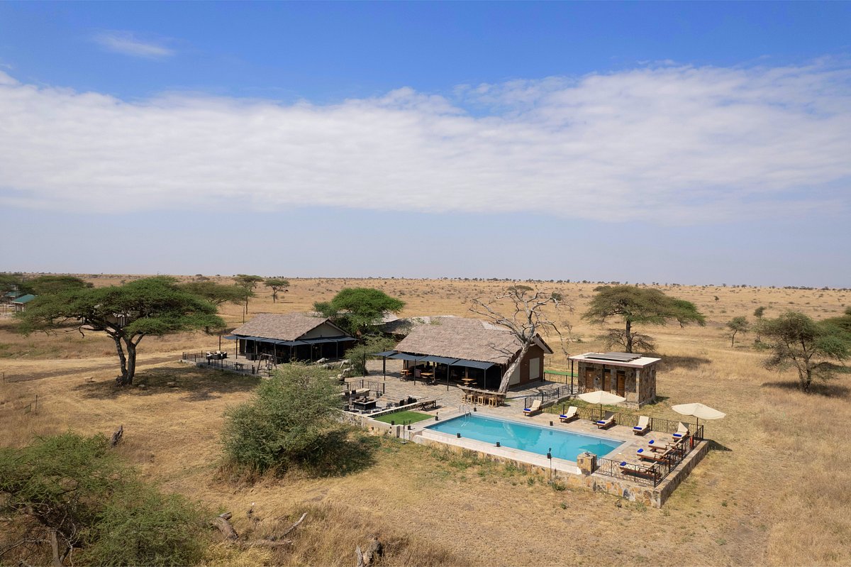 serengeti sametu