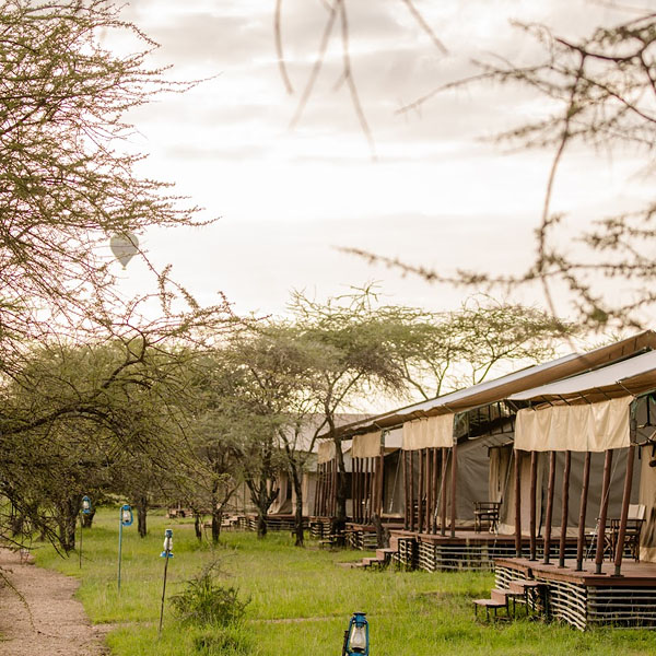 serengeti angata camp