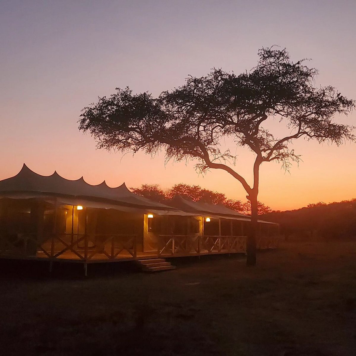 Signature Serengeti Luxury Tented Safari Camp