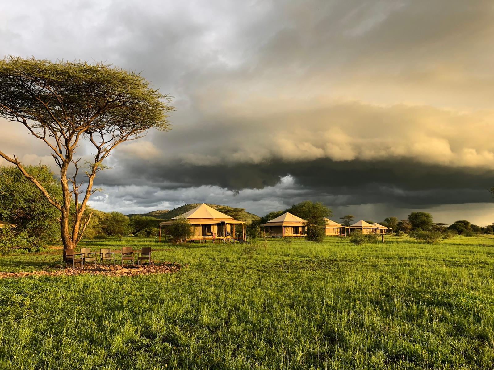 Serengeti Sound Of Silence