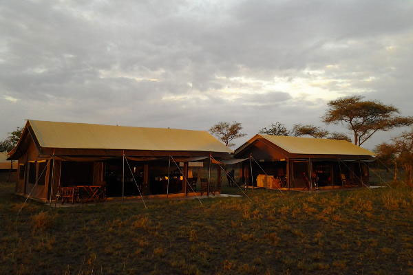 serengeti tanzania bush camp