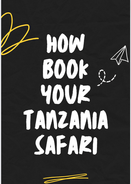 How To Book Tanzania Safari | Complete Safari Booking Guide & Hints