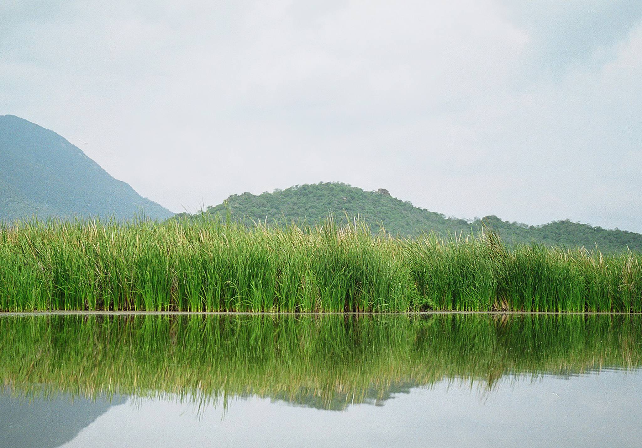 lake jipe