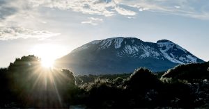 kilimanjaro