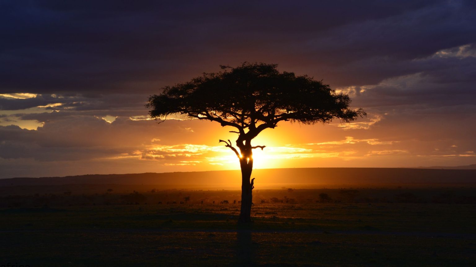 Private Safaris Africa | Tanzania & Zanzibar Travel Packages