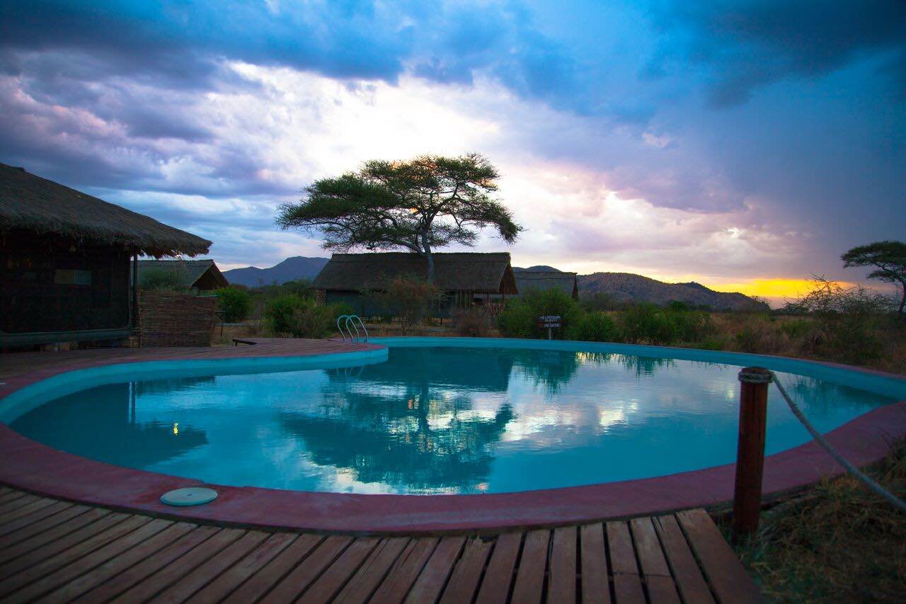 Tarangier-Simba-Lodge-36