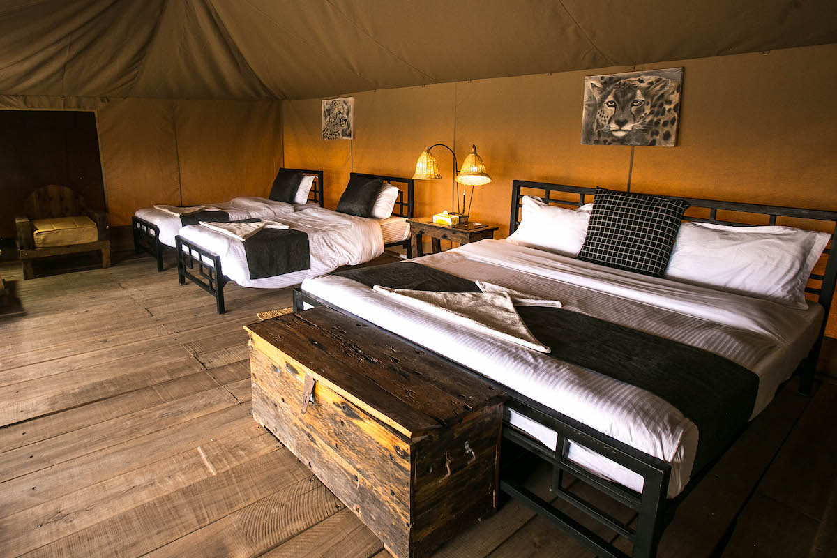 serengeti-pure-tented-camp-5