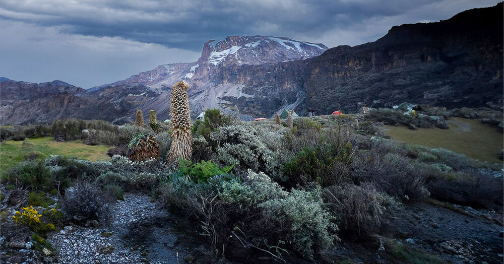 Mt-Kilimanjaro_Barranco_Camp_02