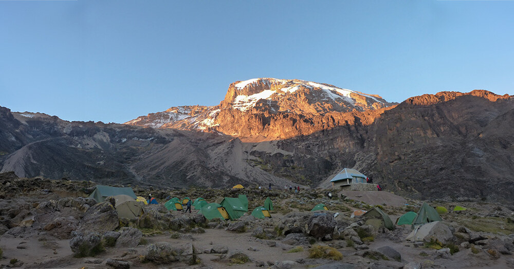 kilimanjaro