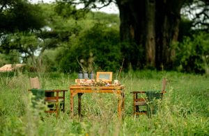 Tipping On Tanzania Safari