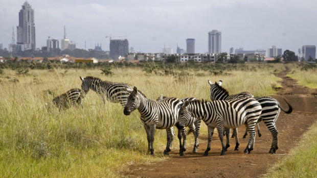 Nairobi National Park