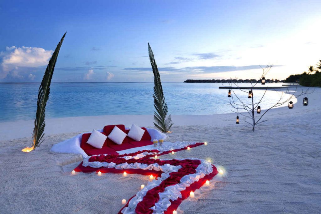 Tanzania Valentine's Safari