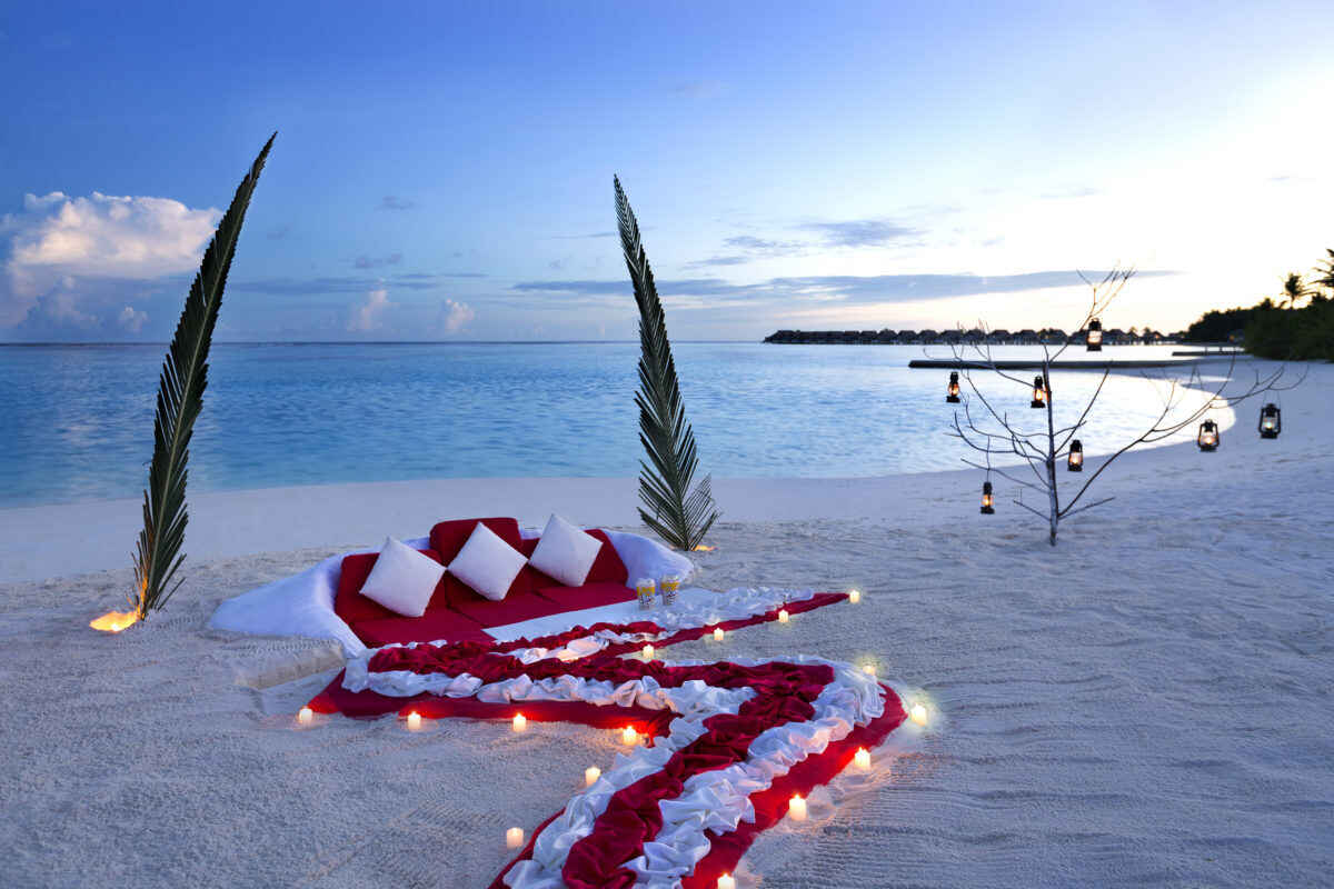 Tanzania Valentine's Safari