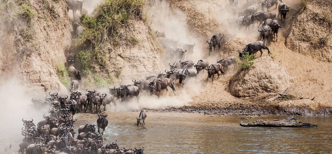 Mara River Crossing