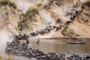 Mara River Crossing