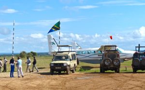 serengeti airstrips