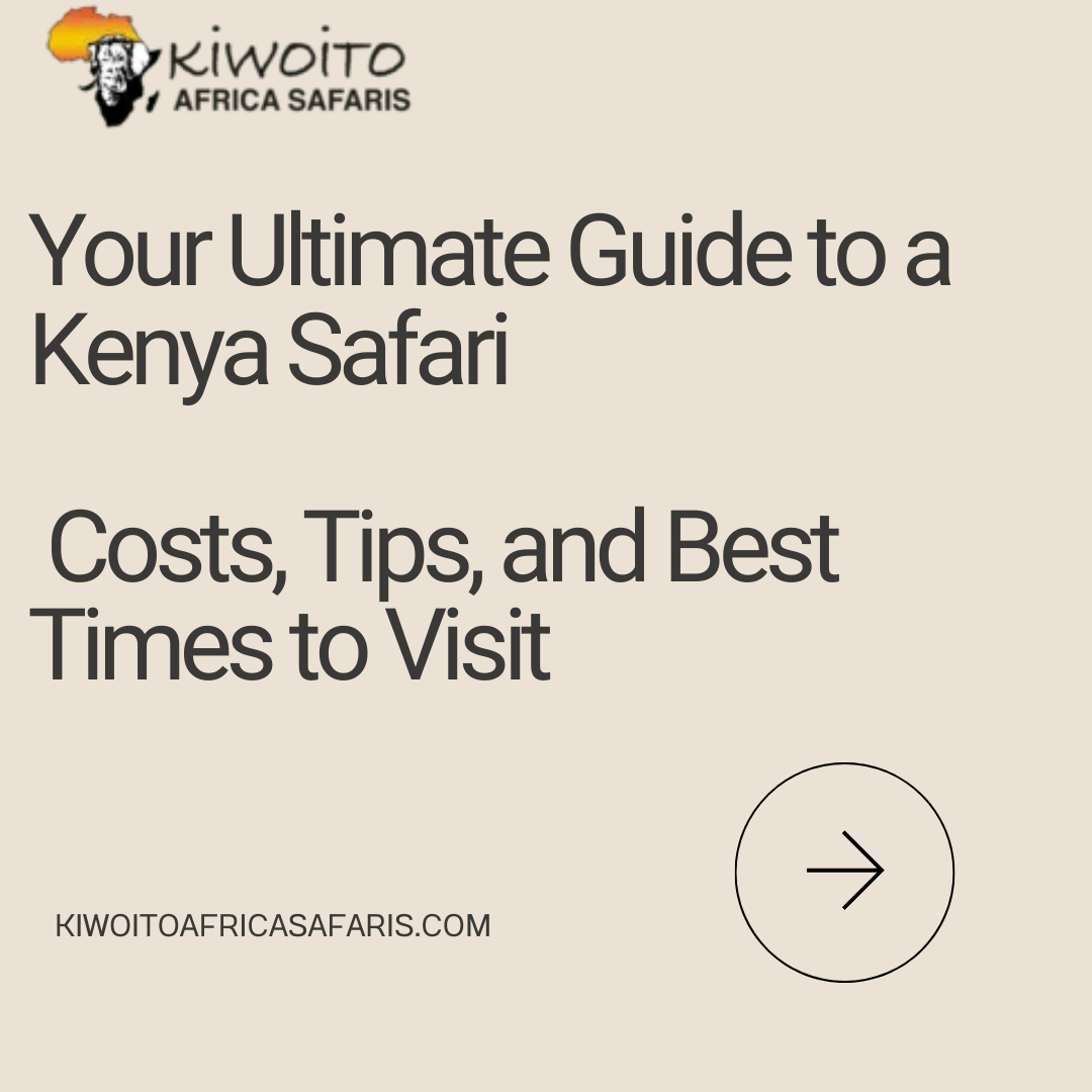 Kenya safari overview (cost, best time,tips)