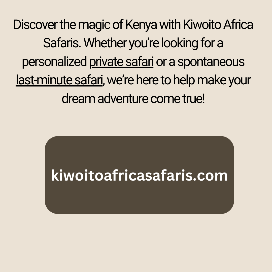 Kenya safari overview (cost, best time,tips)