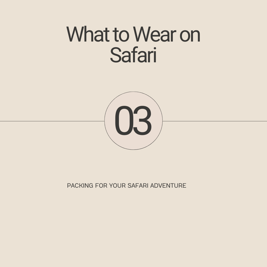 Kenya safari overview (cost, best time,tips)