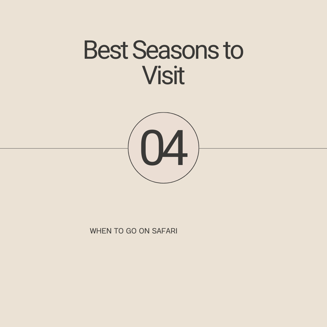Kenya safari overview (cost, best time,tips)