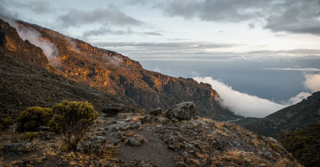 7 Days Kilimanjaro Shira Route