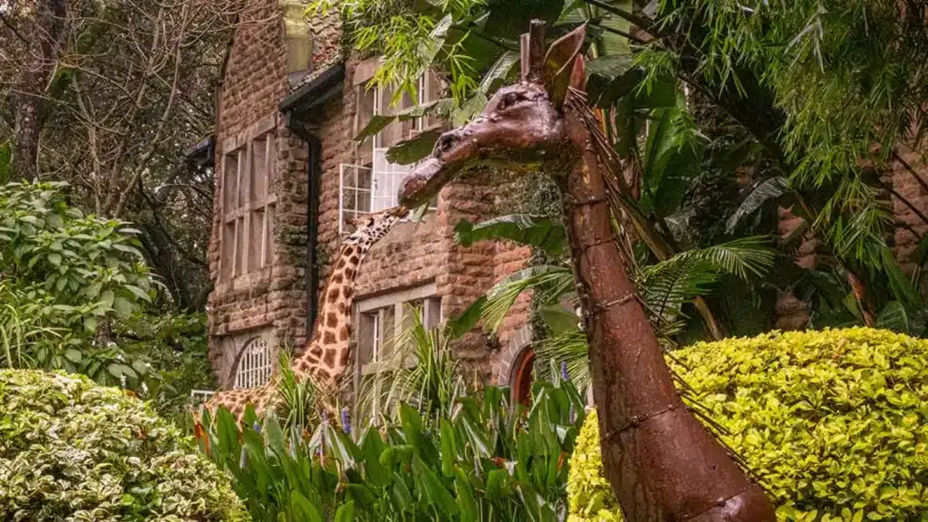 giraffe manor