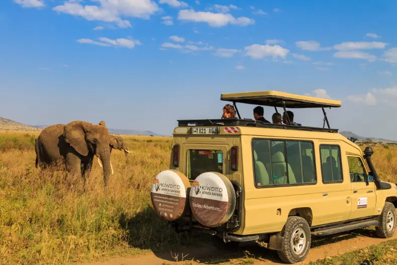 kiwoito private safari