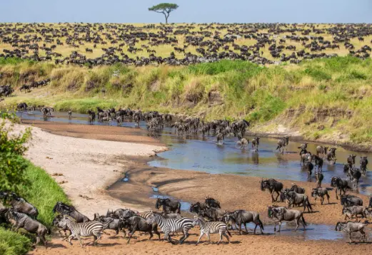 private safari