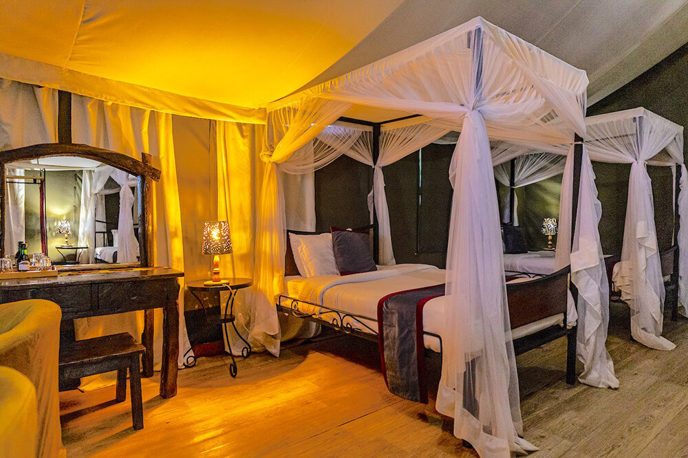 ngorongoro wild camp